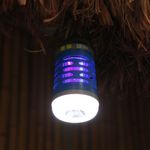 image-7cad2ecffe2e4b6cba2416212b7356c2