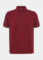 polo_masculina_premium_pima_005_TF550022_2575.jpg