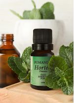 FRASCO-POMANDER-OLEO-ESSENCIAL-HORTELA-10ML-AMBENTADA