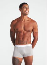 cueca_boxer_mescla_001_tfa500012_0217.jpg