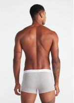 cueca_boxer_mescla_002_tfa500012_0217.jpg