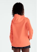 backview