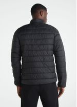 backview