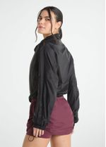 backview