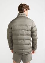 backview