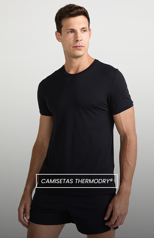 LP Thermodry | Mosaico Banner Vertical Desk  |Camisetas Thermodry